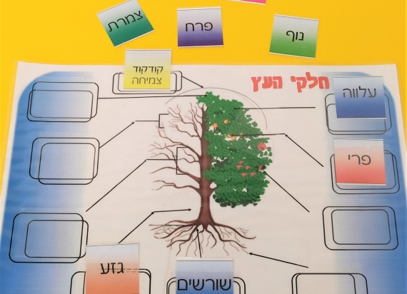 אמצעי המחשה - מרכז תכנון למידה והוראה אמצעי המחשה - מרכז תכנון למידה והוראה