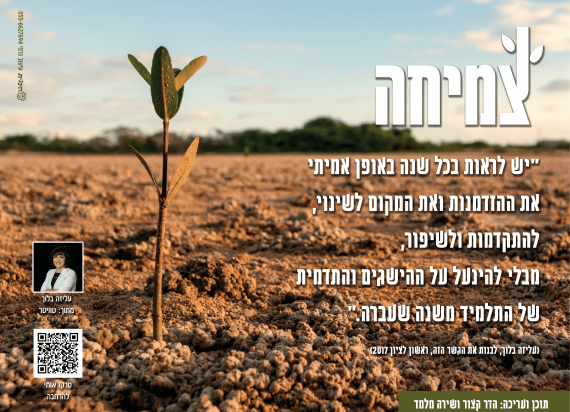 צמיחה צמיחה