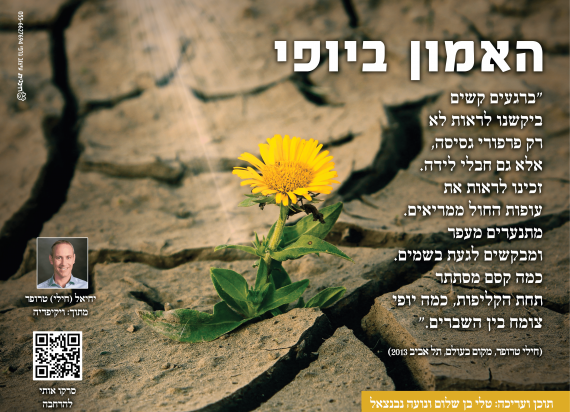 האמון ביופי האמון ביופי